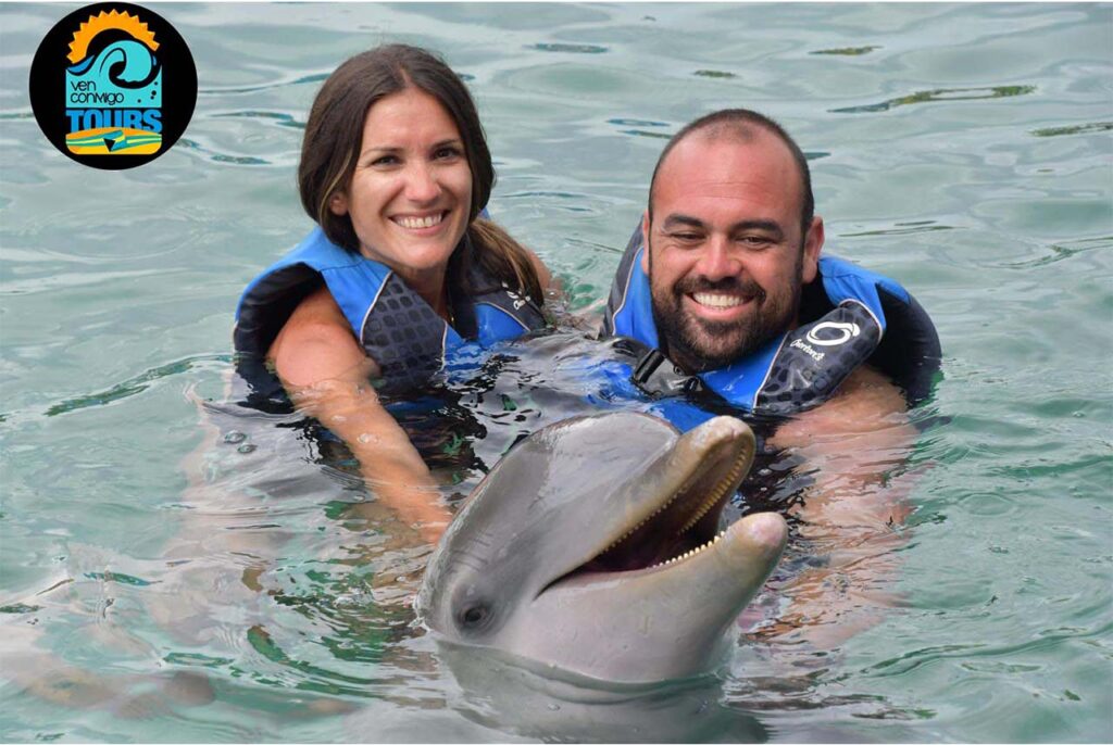 swim with dolphins